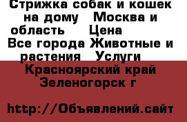 Стрижка собак и кошек на дому.  Москва и область.  › Цена ­ 1 200 - Все города Животные и растения » Услуги   . Красноярский край,Зеленогорск г.